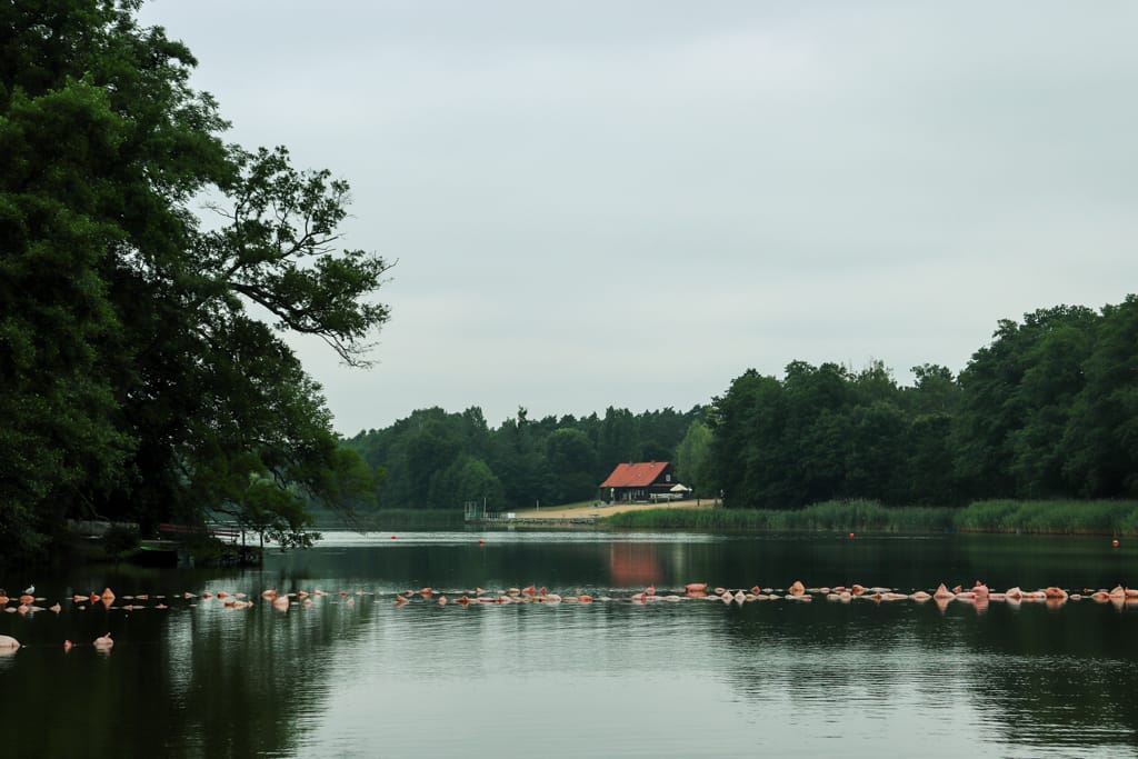 Jezioro w Zaniemyślu