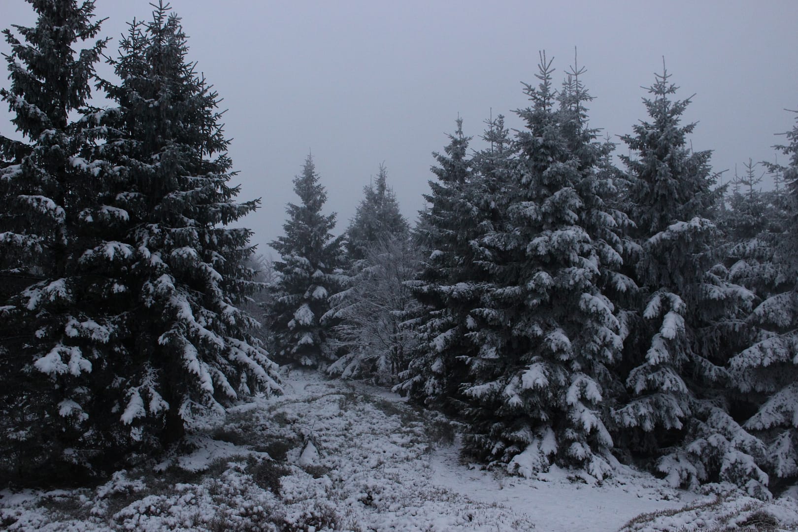 Korona Gór Polski zdobywanie szczytu zimą