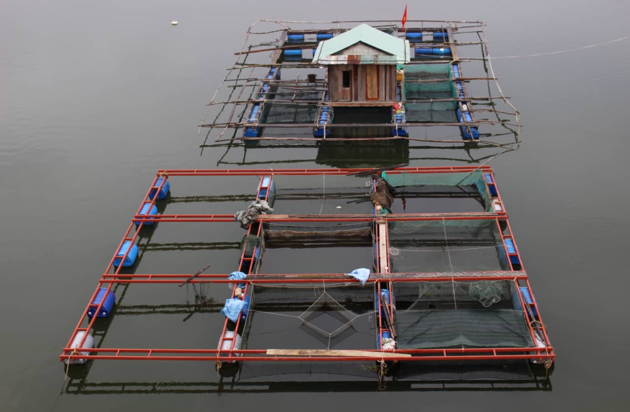 Sieci na rzece w Hoi An.