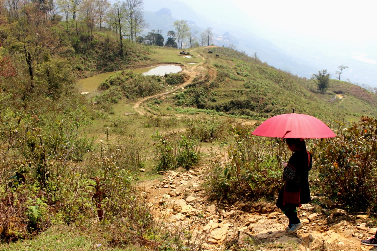 Wietnam na własną rękę - Trekking w górach - okolice SAPA.