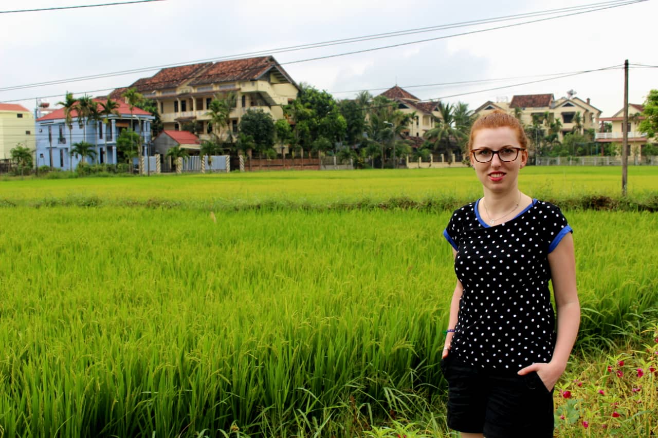 Hoi an na własną rękę - Pola ryżowe w okolicy Hoi An.